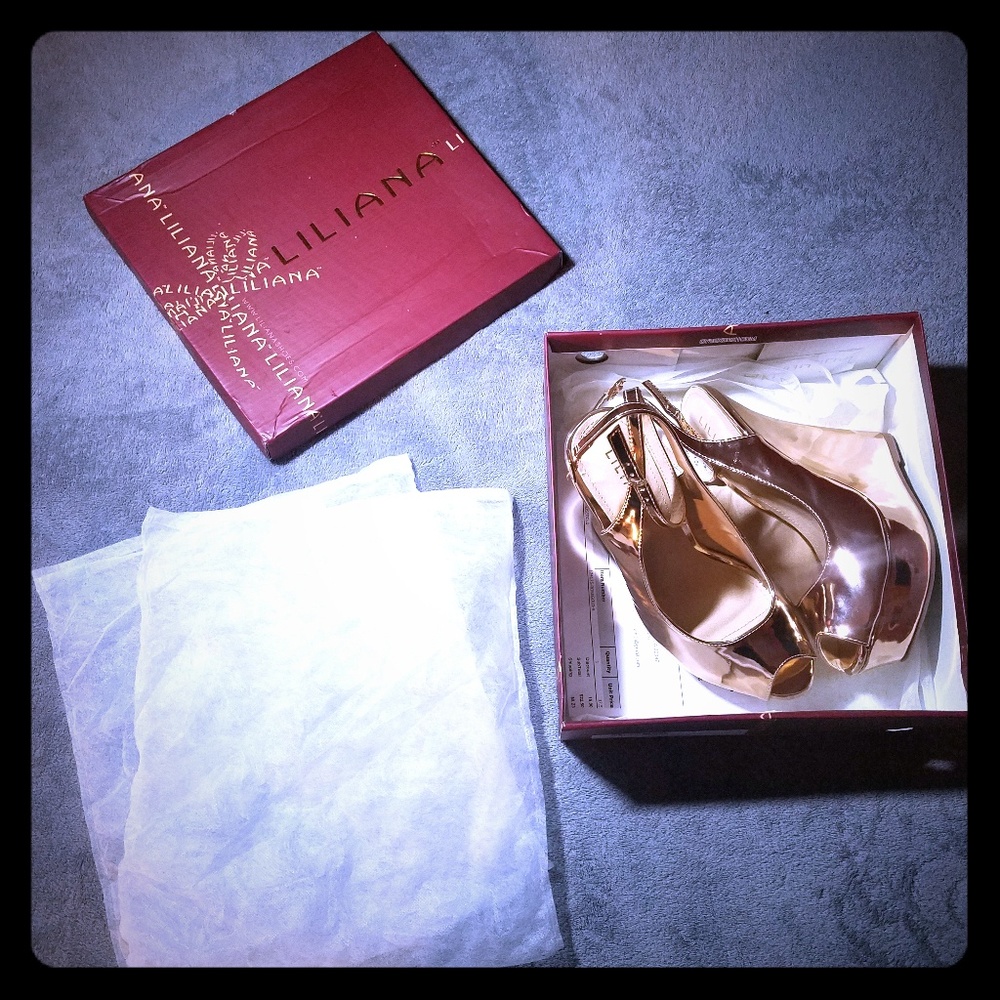 (SOLD)Liliana Rose Gold Wedges